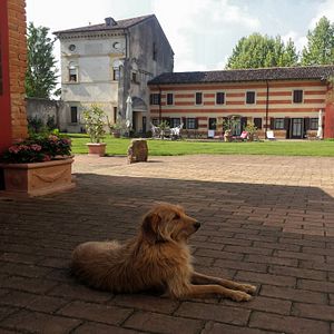 Passe uma noite em um Wine Relais dentro de um parque natural | Musella