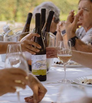 Vinho Verde Tasting at Quinta De Lourosa