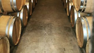 Degustazione di vini e visita allo Château Clarisse
