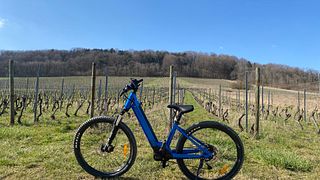 Lorraine Vineyard E-Bike & Wine Adventure
