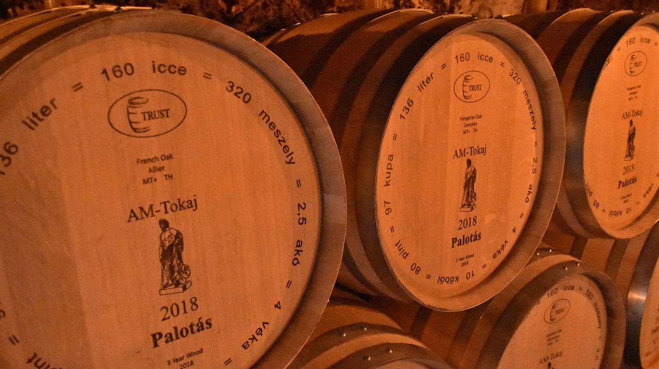 AM-Tokaj Winery