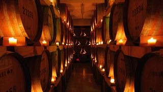 Pfalz Wine Tour & Tasting at Bergkeller Estate