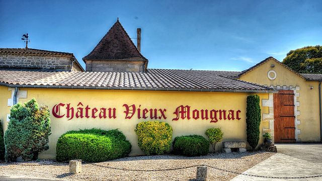 3-ekologisk vinprovning och rundtur på Château Vieux Mougnac