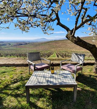 Weinprobe und Führung im Domaine de la Ronze