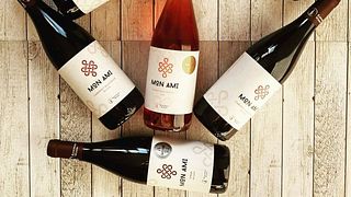 Degustazione di vini e tour presso l'azienda vinicola Konopane