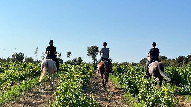 Experiência exclusiva de cavalgada