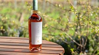 Cata de vinos al aire libre o en bodega, según el clima. Experiencia Chianti Classico, Super-Tuscan y Rosé.