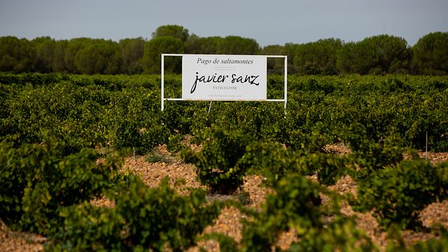 Javier Sanz Viticultor