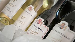 Upper Hungary Wine Journey at Gróf Degenfeld