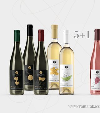 Domaine Takacs Winery