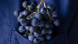 Degustação de Vinhos no Ruffino Poggio Casciano