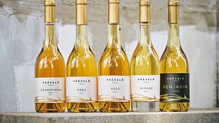 Dégustation de vins haut de gamme et visite à Préslő
