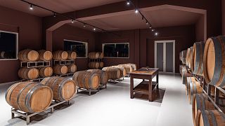A Jornada – Degustação de Vinhos na Vinícola Puglia Pop