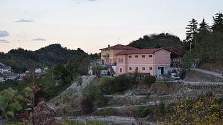 Pair Gavi Wines with Traditional Piedmont Cuisine