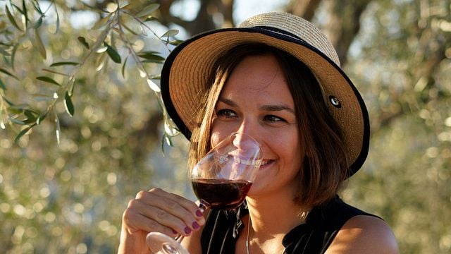 Tour Privado de Vinhedos + Degustação de Vinhos em Nice com um sommelier experiente e amigável
