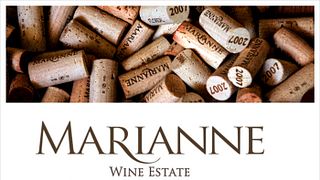 Cape South Coast Wine & Biltong Pairing at Marianne