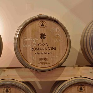 Experience the Charm of Quinta do Porto Nogueira
