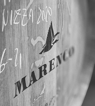 Degustazione Gourmet presso la Cantina Marenco