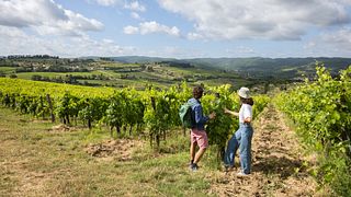 Expérience de randonnée viticole dans le Chianti Classico