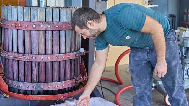 DEGUSTAZIONE DI VINO DI BASE