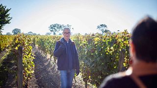 Degustação de vinhos e tour no Domaine du Vieux Pressoir