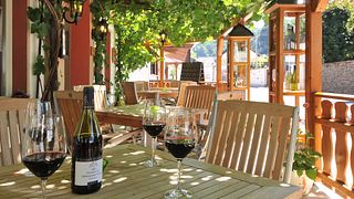 Cata de vinos y visita guiada en Weingut Sermann