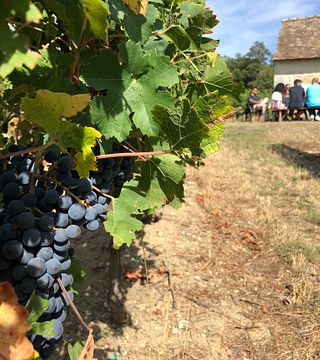 Ganztägige Weintour in Vouvray und Chinon mit MITTAGESSEN im Weingut