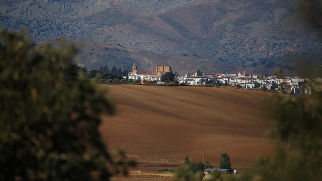 Bodegas Lunares