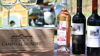  “Walking with Daisy”: Our Doc Bolgheri On 3 Wheels | Tenuta Campo al Signore