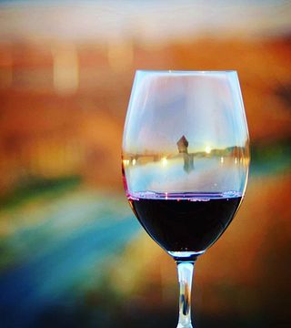 Degustação de vinhos e tour em Tero Estates