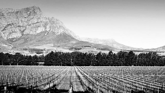 Abbinamento sommelier presso Topiary Wine Estate