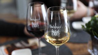 Expérience de dégustation de vin Paulinenhof