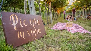 Picnic en Vigna