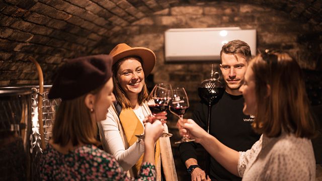 Degustazione veloce di vini nella cantina Válka