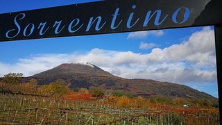 Sorrentino Vesuvio Winery