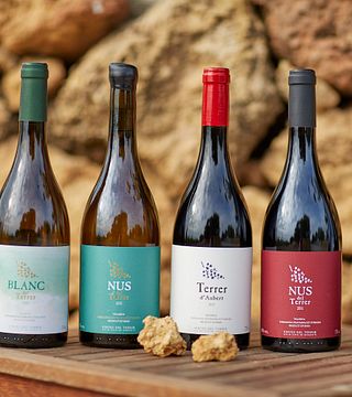 Visite de vignoble, vinification et accords mets et vins locaux pour les passionnés