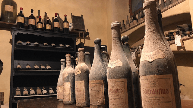 L'Abbiocco-Weinprobe und Führung in der Cantina Fongoli