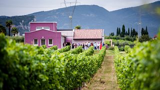 Benazzoli vinupplevelse