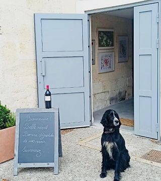 Château Tournefeuille