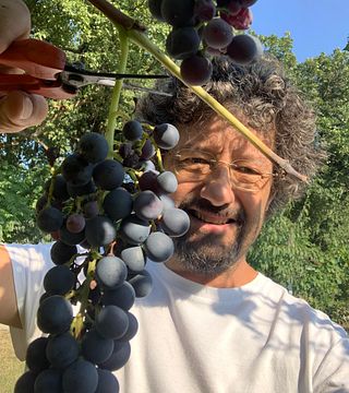 La Pesenata - Biodynamisk gård och naturvinsprovning