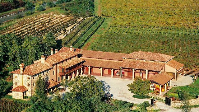 Cata de vinos y visita guiada en Colmello Di Grotta
