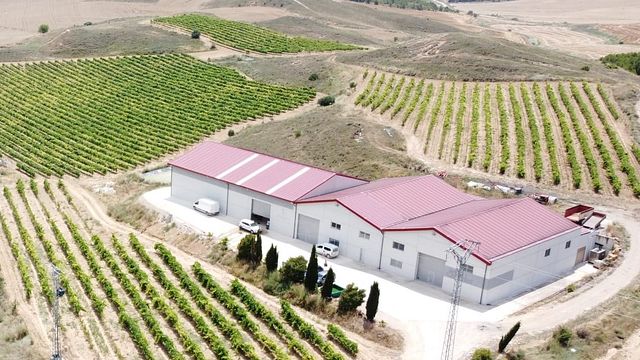 Bodega Ozalder
