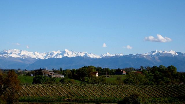 Domaine Larroudé