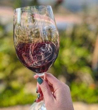 Dégustation de vins au domaine Ben Zimra