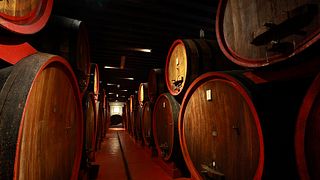 Visite guidée et dégustation de vins au Castello di Roncade