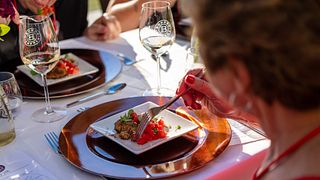 Degustazione di vini presso l'azienda vinicola Bonobo