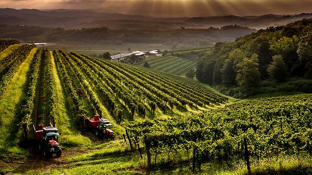 La Viarte Winery