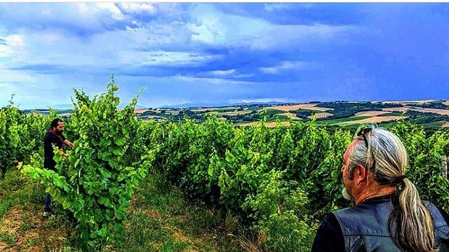 Weinprobe von 7 Sorten und Führung im Weingut sowie im Keller