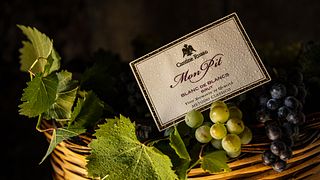 Dégustation de vins et visite à la Cantine Russo