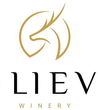 Cata de vinos, Macedonia del Norte, Bodega Iliev